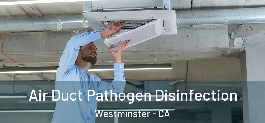  Air Duct Pathogen Disinfection Westminster - CA