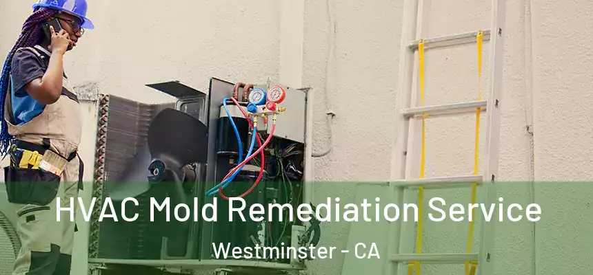 HVAC Mold Remediation Service Westminster - CA