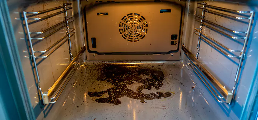 Our Dryer Vent Mold Cleaning Services in Westminster, CA