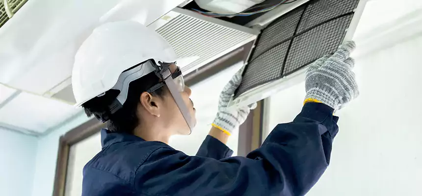 Our Mold & Mildew Removal from Air Ducts Services in Westminster, CA