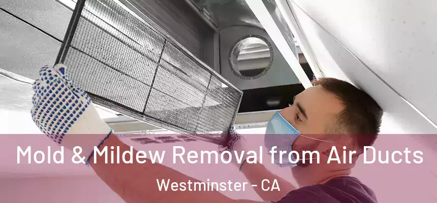 Mold & Mildew Removal from Air Ducts Westminster - CA