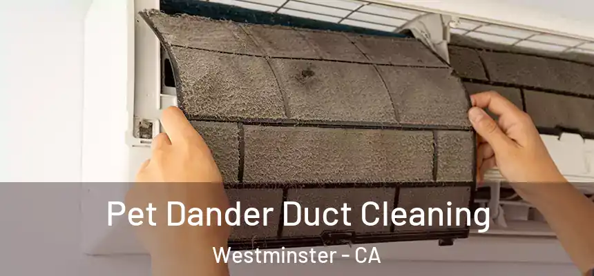 Pet Dander Duct Cleaning Westminster - CA