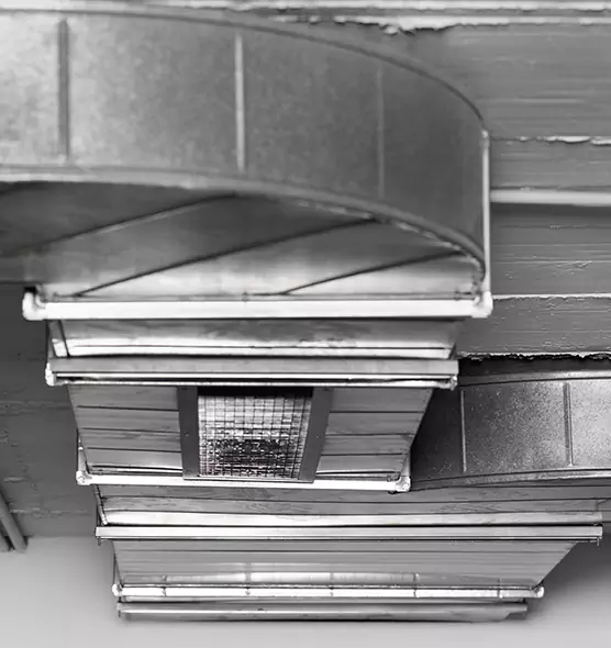 Professional Air Duct Pest Removal in Westminster, CA