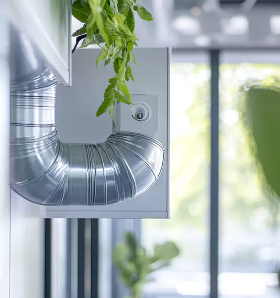 Professional Eco-Safe Dryer Vent Cleaning in Westminster, CA