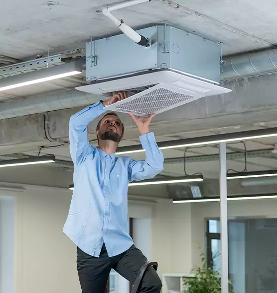 Advanced Rodent Droppings In Vents in Westminster, CA