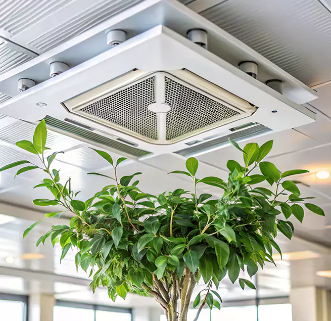 Why Homeowners & Businesses Trust Us in Westminster, CA?