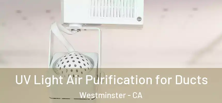  UV Light Air Purification for Ducts Westminster - CA